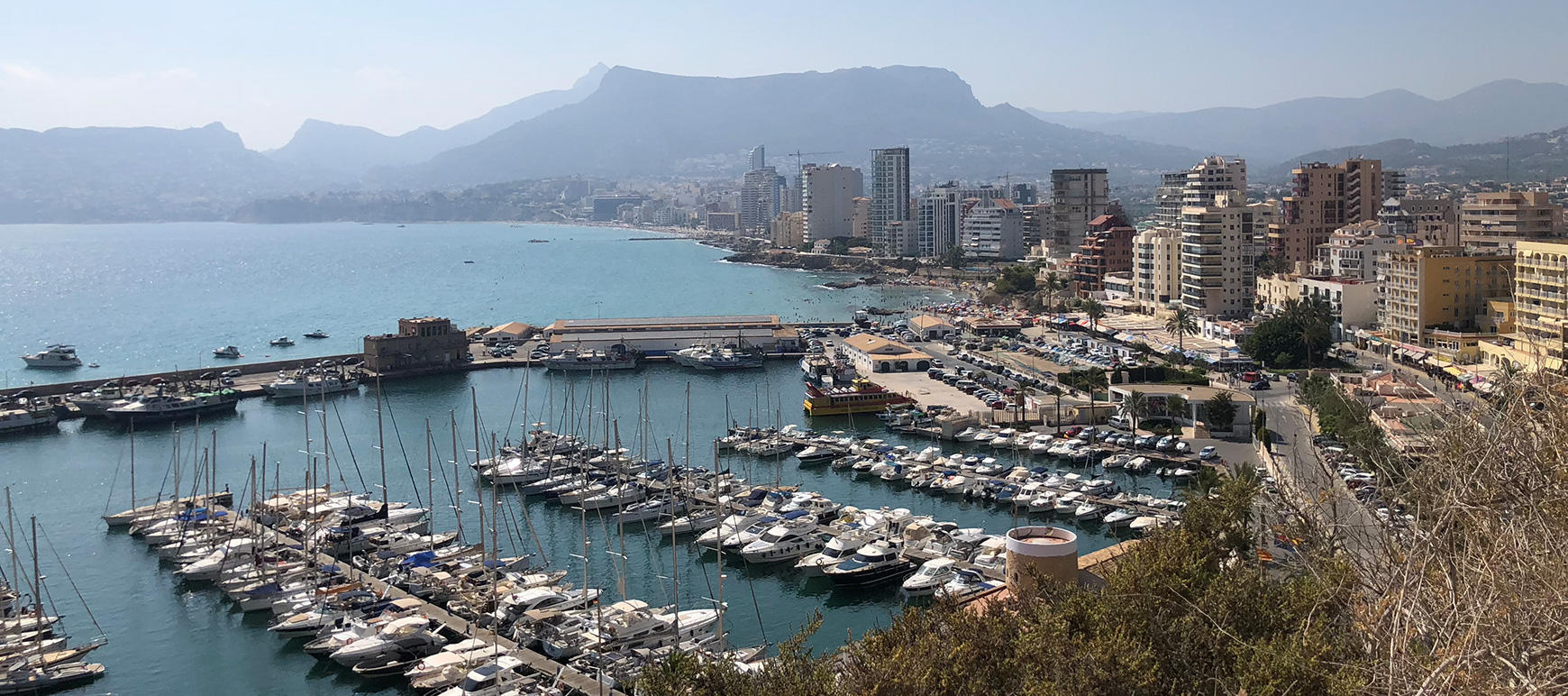 Valencia Wort at Travel